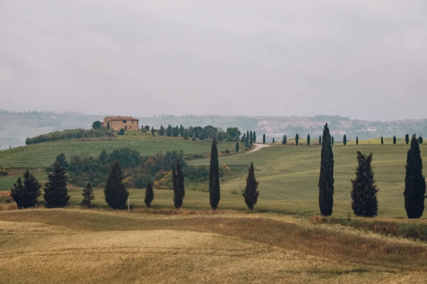 The Tuscan Tutor: SEO Copywriting case study